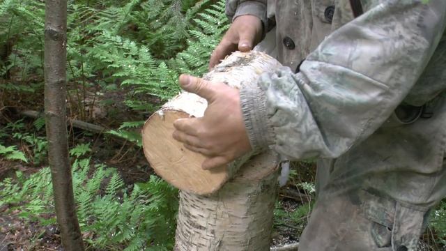 Заготовка сколотня для туеса. смотреть онлайн