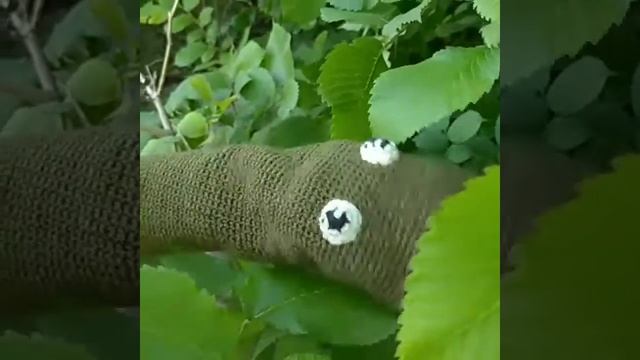 Змея-перчатка. смотреть онлайн