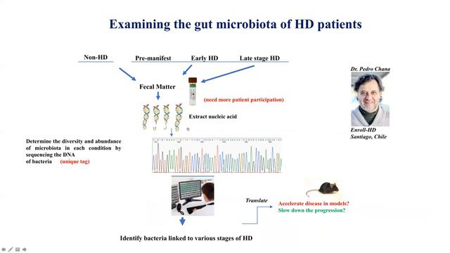 RESEARCH WEBINAR: Gut Microbiota In Huntington's Disease
