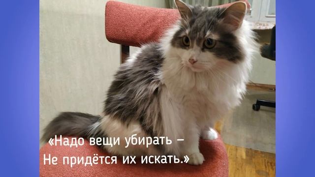 Буктрейлер по рассказу Л.Ф. Воронковой "Маша-растеряша" смотреть онлайн