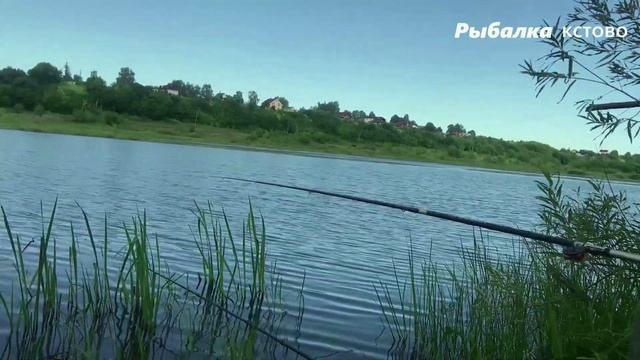 ЛОВЛЯ ПЛОТВЫ ОСЕНЬЮ НА манная болтушку смотреть онлайн