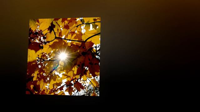 ФЛОРА ВАФИНА - ЖЕЛАННАЯ ОСЕНЬ.avi смотреть онлайн