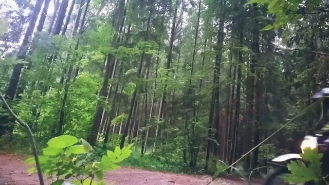 Пробую поднять переднее колесо на Suzuki Djebel смотреть онлайн
