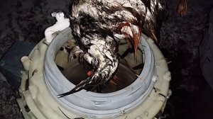 перосъемная машина из стиральной машины