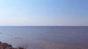 Загадочный Маныч. Солёная река