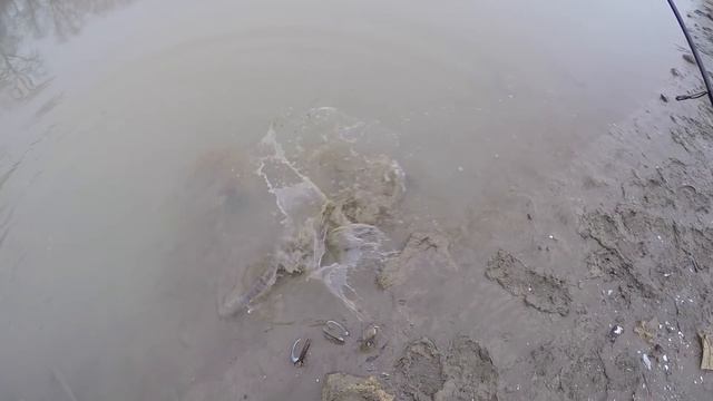 Зимняя РЫБАЛКА в Краснодарском крае смотреть онлайн