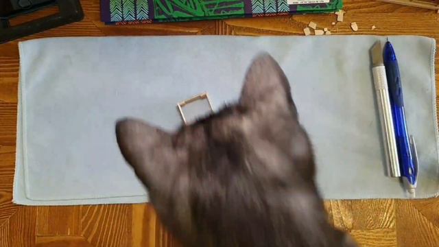 Котик проверяет на прочность мою работу (вырезка из вчерашнего стрима) смотреть онлайн