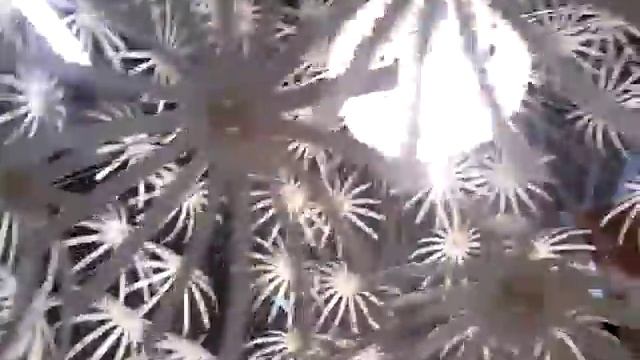 Такую люстру легко сделать своими руками. смотреть онлайн