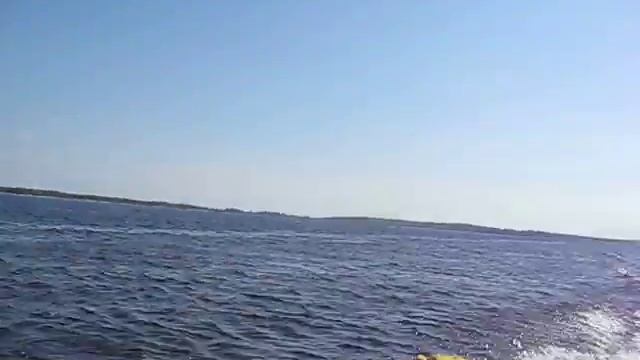 Изображение 221 смотреть онлайн