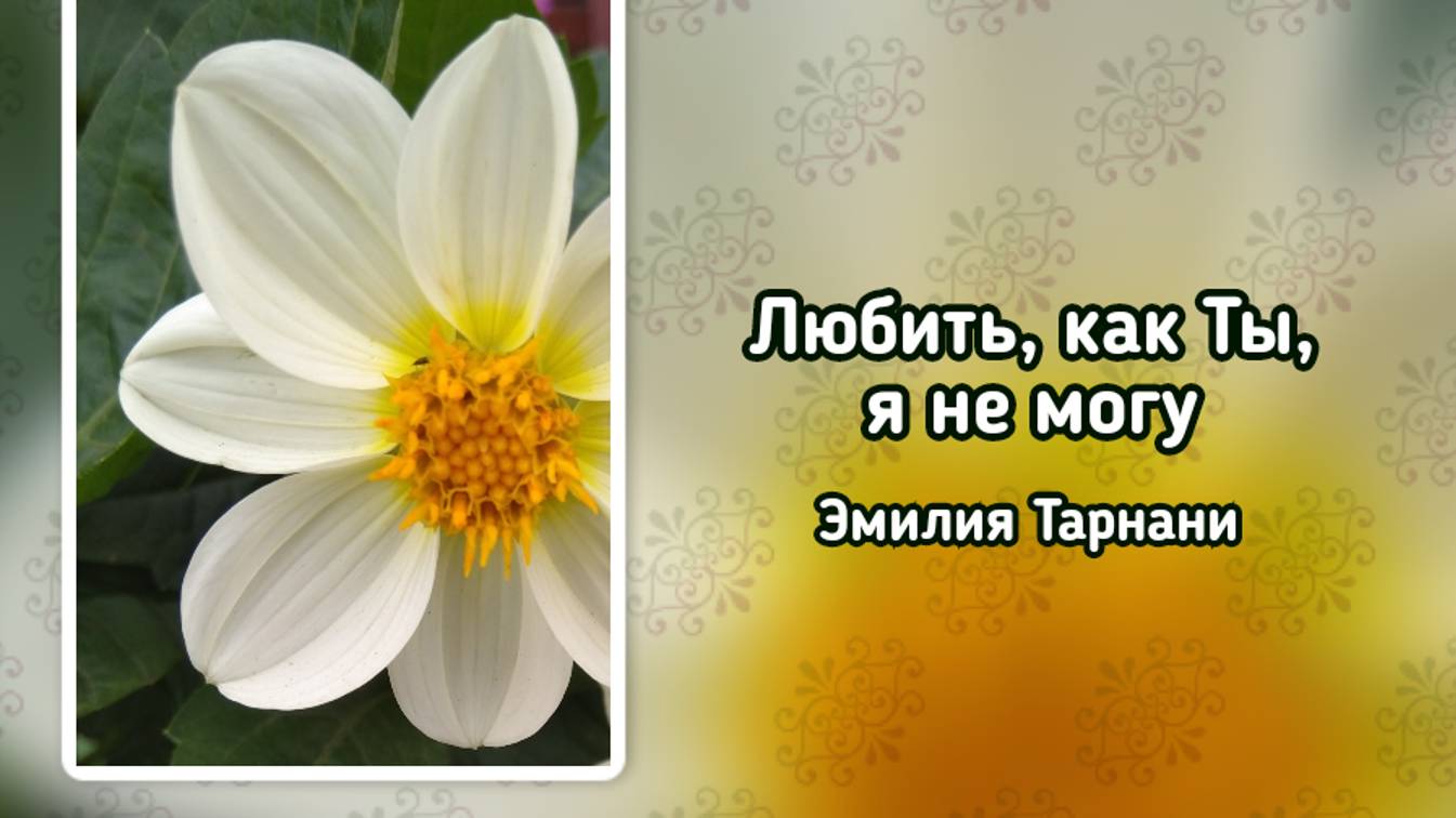 Любить, как Ты, я не могу - Я на любовь любовью отвечаю... (+) смотреть онлайн