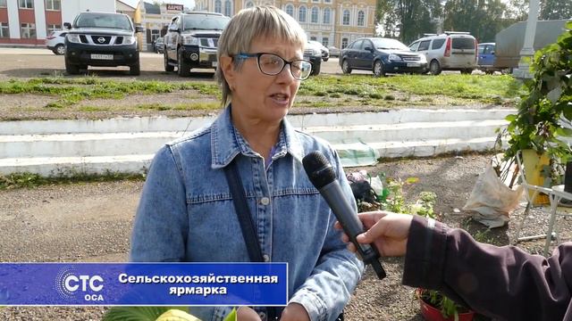 Сельхоз ярмарка смотреть онлайн
