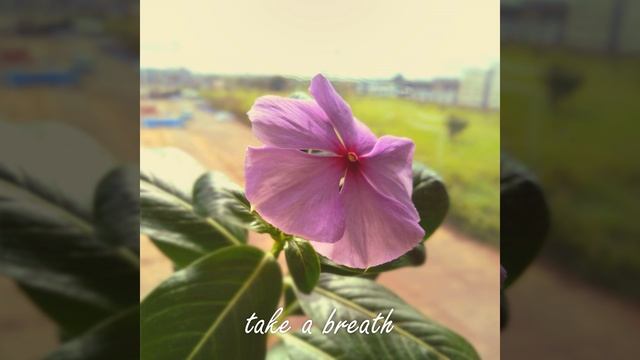 Take A Breath