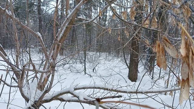OPPO A17 Video Sample смотреть онлайн