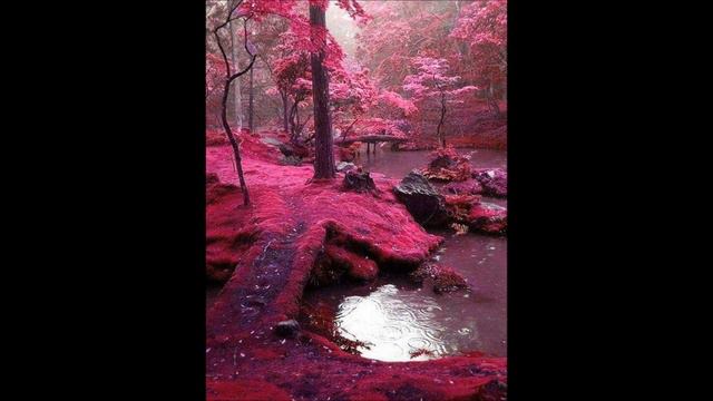 Lyrics To Persephone's Bees - Muzika Dlya Fil'ma - FIFA 07 Soundtrack HQ