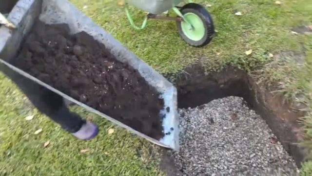 Черешня Желтая Приусадебная готовим яму смотреть онлайн