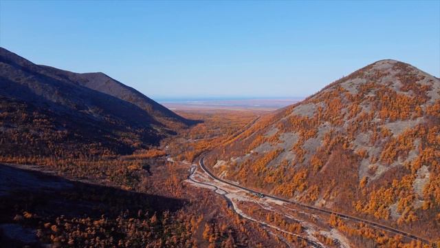 Человек закидывал волчицу камнями, не понимая, что она хочет ему помочь! | Удивительная история смотреть онлайн
