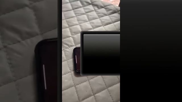 Прикол. Саида можно? Саид прикол смотреть онлайн