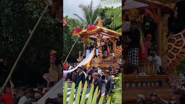 PELEBON IDA ANAK AGUNG NGURAH BAGUS SUJANA PEMECUTAN 14-11-2022 #pelebon #tainsiat #pemecutan смотреть онлайн