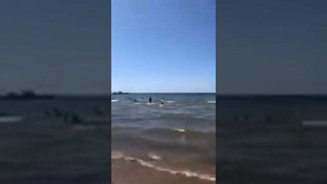 Прилетели в Анапу,первый день смотреть онлайн