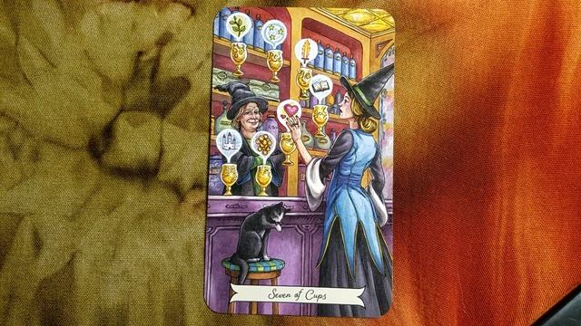 Suit of Cups ? Everyday Witch Tarot card meanings смотреть онлайн