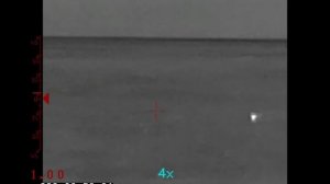 Охота на волка с манком