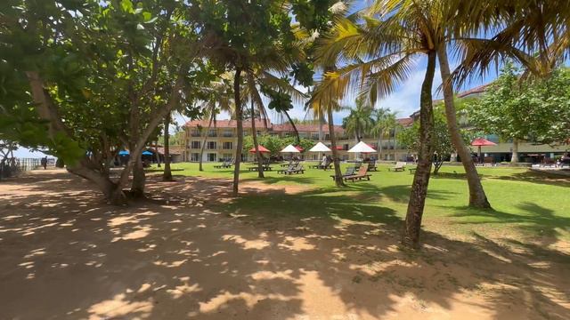 The Palms 4* Bentota - Шри-Ланка 2023 - больше 3* чем 4* по питанию и уровню отеля смотреть онлайн
