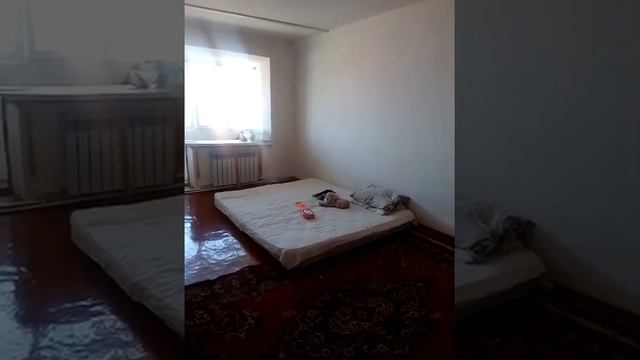 ОБРАЩЕНИИ КАДЫРОВУ РАМЗАНУ АХМАДОВИЧУ! СЕЛО ЧИРИ-ЮРТ.... смотреть онлайн
