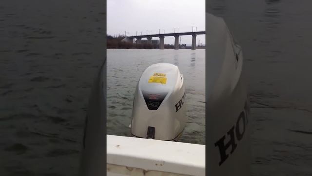 Honda Bf 50 Idle
