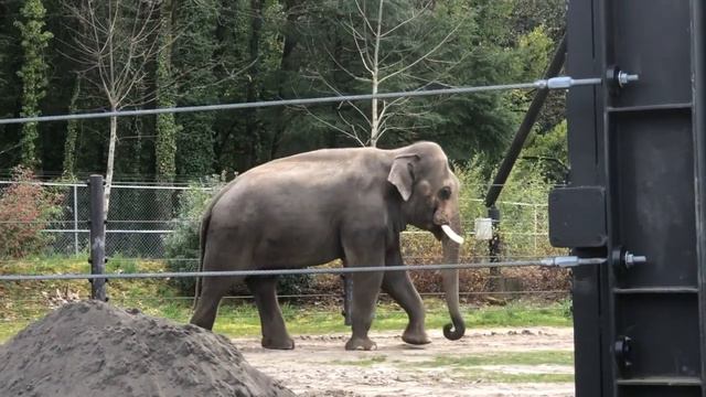 Портленд, штат Орегон.  Лучшие места. Путешествие. Portland.