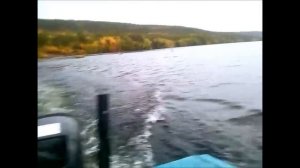 ОБЬ-3 и мотор SUZUKI 30