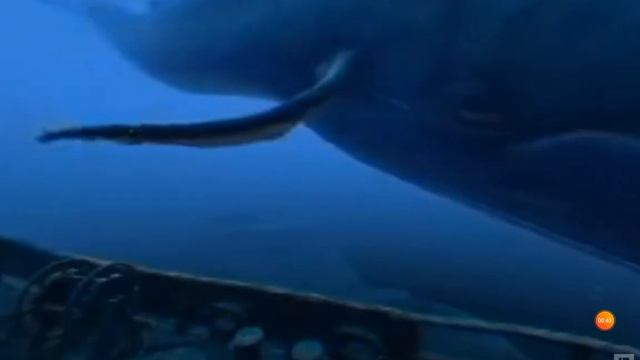 что происходит под каждой? смотреть онлайн