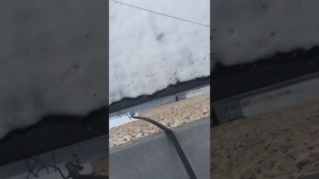 Что делать если горит ЖАБА!!! или как сбежать с 4го этажа Побухать смотреть онлайн