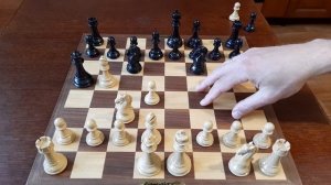 Шахматы. Скандинавская ловушка. Дебют e4-d5. Лучшие ходы в дебюте.