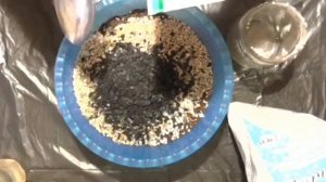 Фиалки. Грунт для верхнего полива.