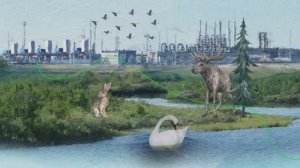 ЭКОЛОГИЧЕСКАЯ ПОЛИТИКА ООО «ГАЗПРОМ ДОБЫЧА ЯМБУРГ»