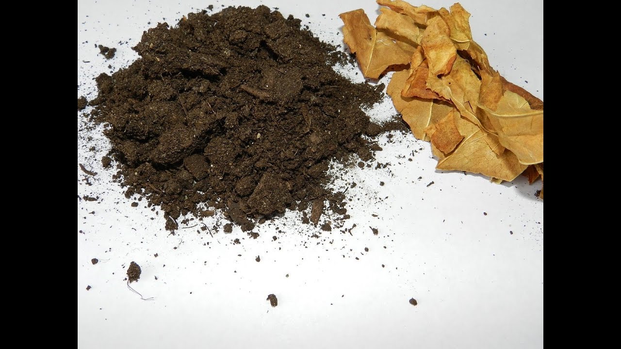 Грунт для рассады табака смотреть онлайн