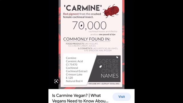 The bug in your food and makeup || Carmine is halal or not? || cochineal bugs смотреть онлайн