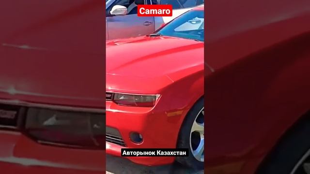 Chevrolet Camaro авторынок Казахстан смотреть онлайн