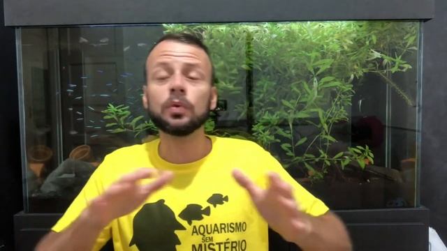 Como utilizar Co2 da forma correta смотреть онлайн