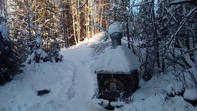 Краски зимнего леса смотреть онлайн