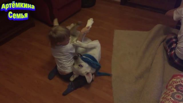 Танцы.  Игры с собакой.  Простые будни. Dancing. Game With A Dog. Simple Daily Life