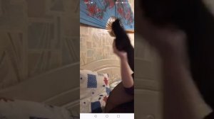 Слив с друг вокруг топ сакура пляшет аниме