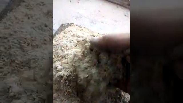 Фракция помола овса. смотреть онлайн