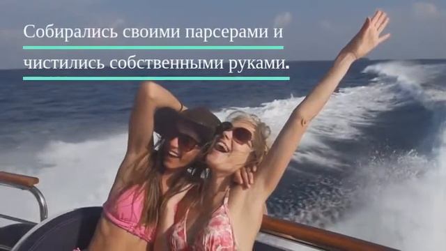 Телеграмм СММ чаты - траффик, маркетинг смотреть онлайн