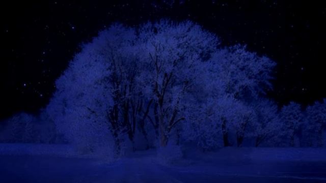 Relaxing Music for a Tranquil Night Sky Experience смотреть онлайн