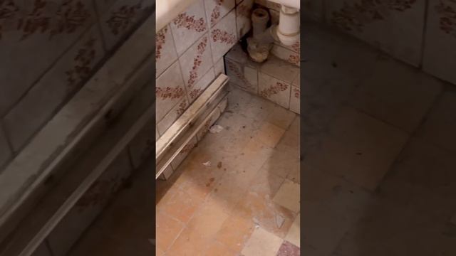 Бюджетный ремонт в ванной. Стильный ремонт ванной без затрат. Ремонт квартиры под ключ смотреть онлайн