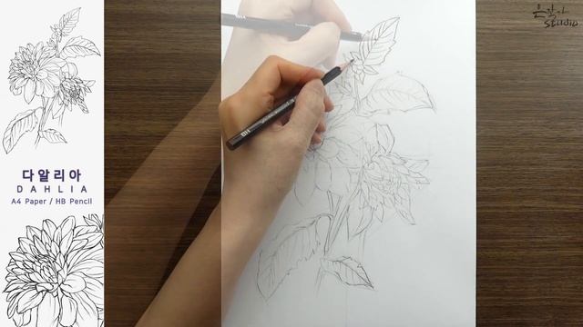 가을 정원 숨겨진 꽃의 여왕 | 다알리아(달리아) 스케치와 전사과정 | Dahlia Drawing смотреть онлайн