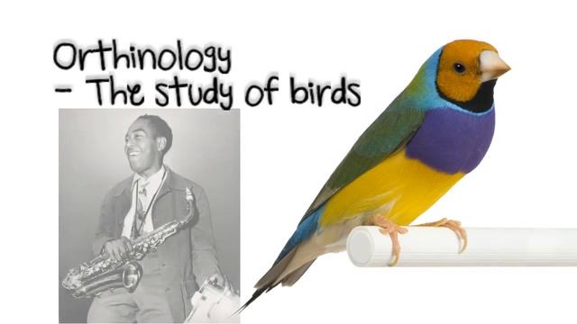 Jean-Michel Basquiat: A Brief Look (UNIT 10 Art History) смотреть онлайн