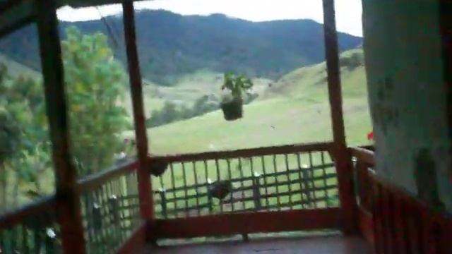 ORISOL TESORO ES CONDIDO TERSERA PARTE FINCA BOLIVIA смотреть онлайн