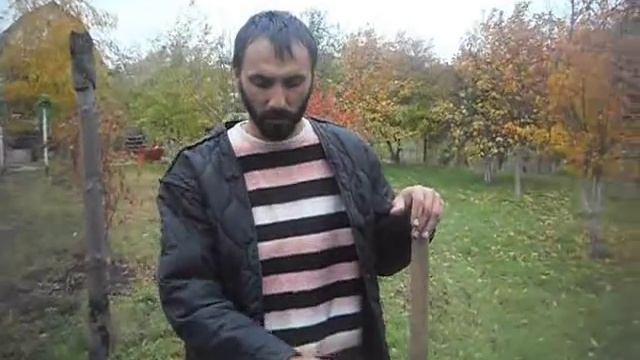 Посадка кизила смотреть онлайн